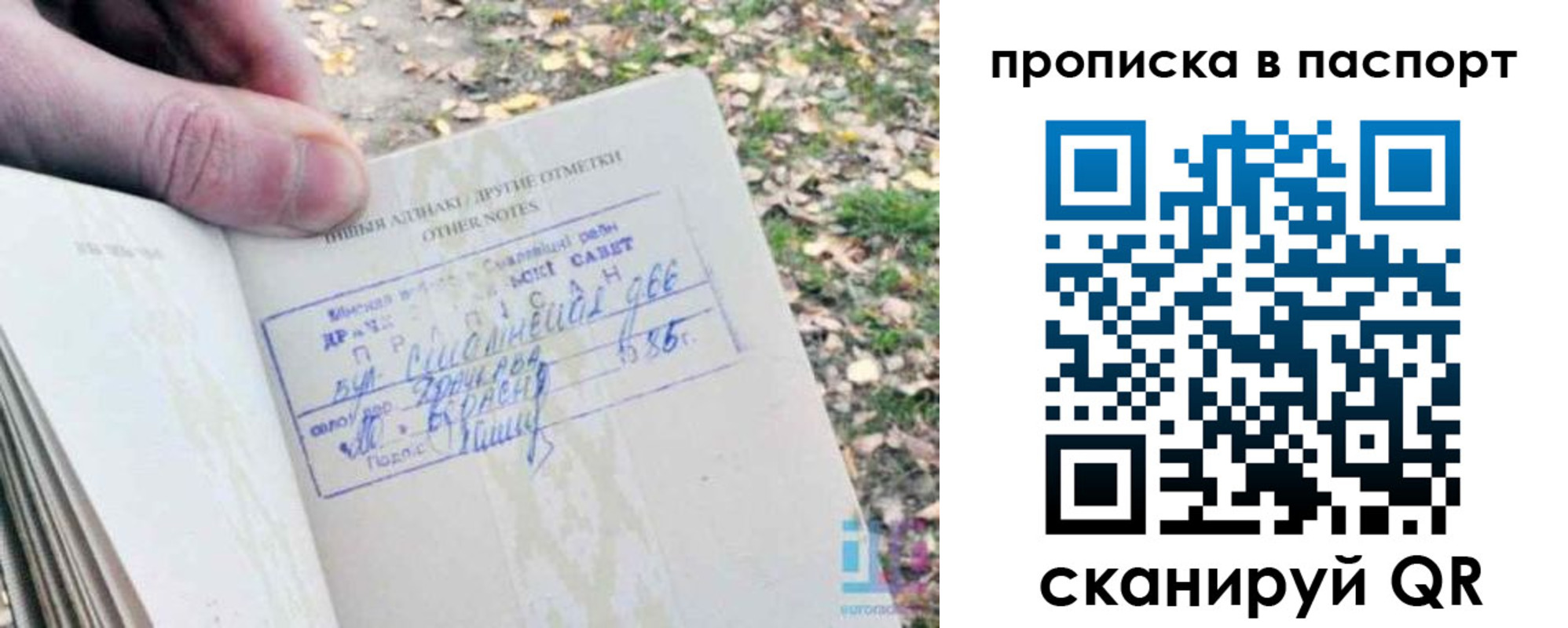 купить прописку в Исилькуле